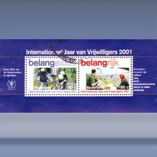 Vrijwilligerswerk (blok) (2001)