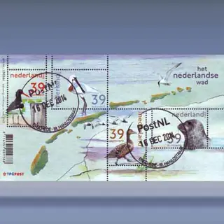 Het Nederlanse Wad (2003)