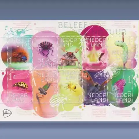 Beleef de Natuur, Insecten (2018)