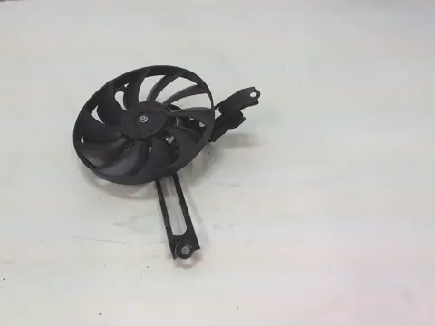 Fan Overig Onbekend Unknown 2008 - 2011