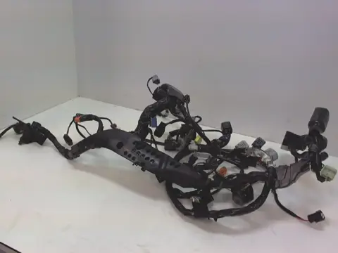 Wire Harness Overig Onbekend Unknown 2008 - 2011