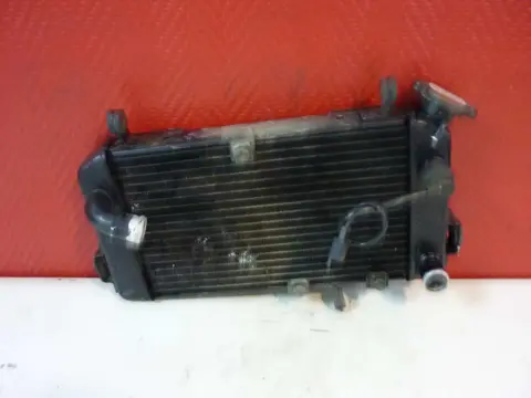 Radiator Suzuki SV 650 1998 - 2002