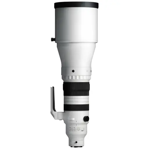 Sigma 300-600mm F4 DG OS Sports L-mount