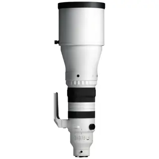 Sigma 300-600mm F4 DG OS Sports L-mount