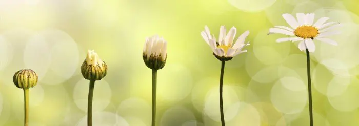 Aangeboden: Gratis coaching!