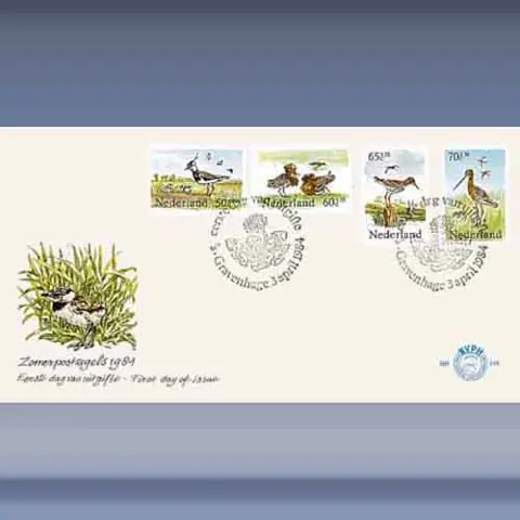 Zomer, weidevogels (1984)