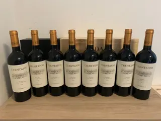 2020 Famiglia Cotarella Falesco 'Trentanni' - Umbrië - 8