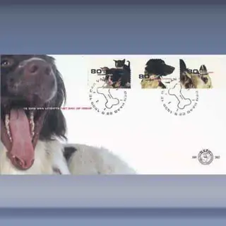 Natuur & Millieu (1998)