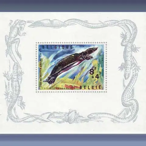 Zoo van Antwerpen (1965)