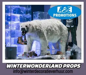 Verhuur frozen ijsblokken xl hilversum aalsmeer