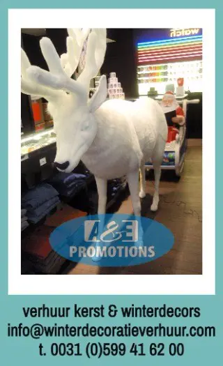 Dordrecht verhuur ijsbeer pinguins t. 0599 416200