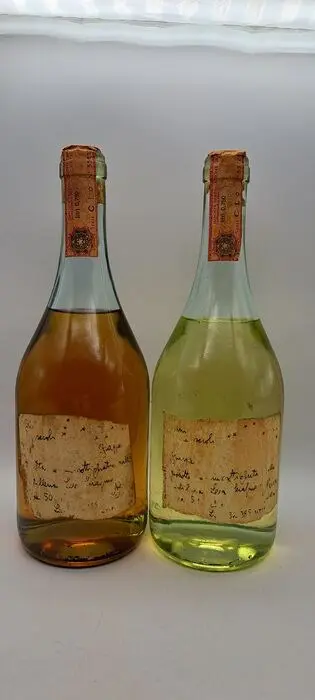 Grappe di Lidia &amp; Romano Levi - In sogno ho sognato -