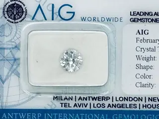 1 pcs Diamant - 1.02 ct - Briljant, Rond - D (kleurloos) -