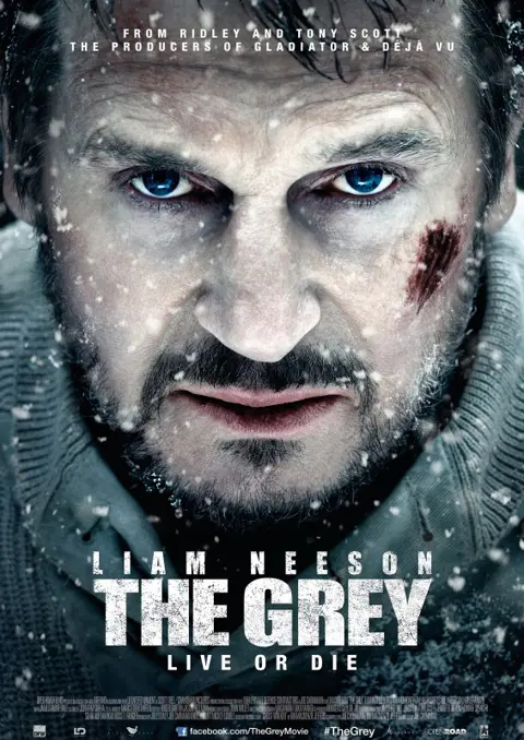 THE GREY LIVE OR DIE filmposter.