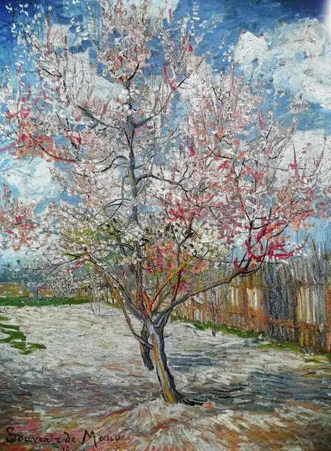 Van Gogh (after) - El arbol del Almendro en Flor - Big Size