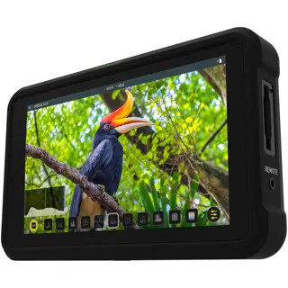 Atomos Shinobi - OUTLET