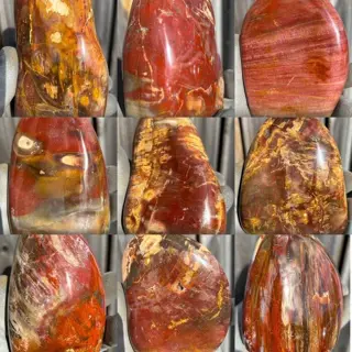 Petrified wood large Polished Petrified AAA wood freeshape