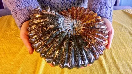 Fossiel - Ammoniet - Topkwaliteit Groot 2,2 kg -