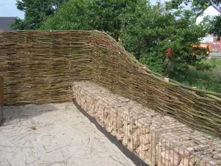 Wilgentenen wilgentenenschutting