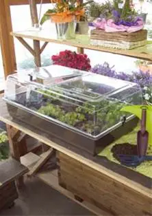 Zaaibak, kweekbak, stekkastje, propagator