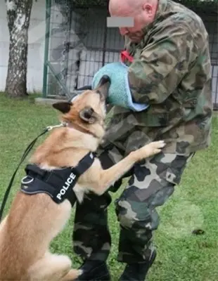 Julius K9 Mouwen voor bijttrainingen kort/zacht