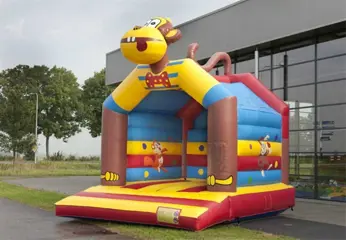 Springkussen huren huur verhuur rhenen veenendaal elst ede