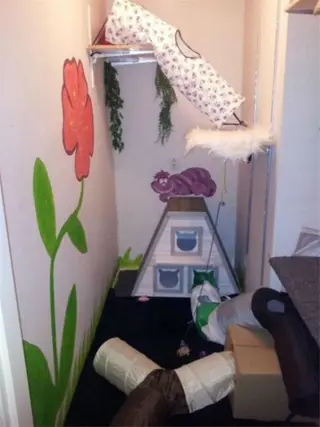 Aangeboden: oppas voor honden en katten