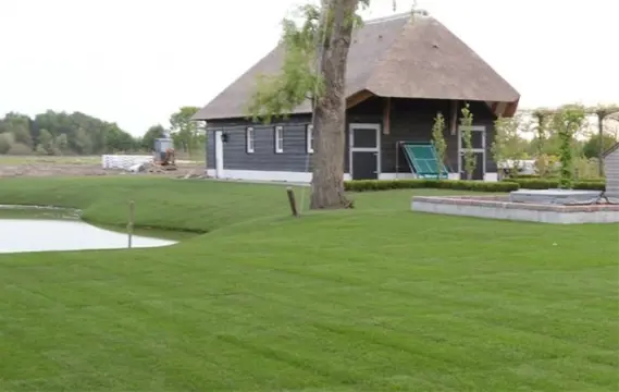 Van Rooij Graszoden