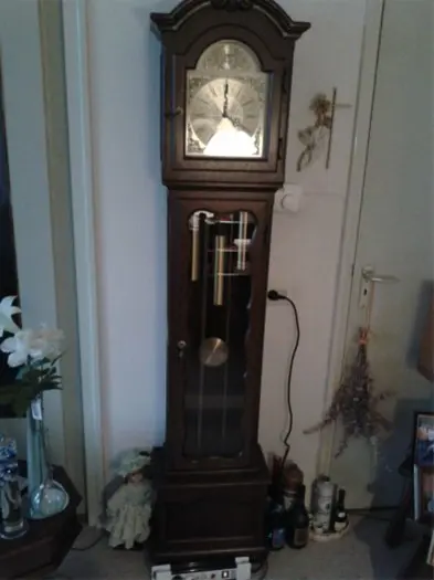 Tempus Fugit staande klok