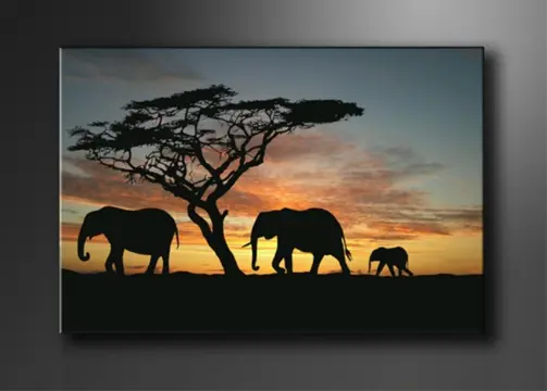 Nieuw canvas schilderij Afrika Olifant 120 x 80 cm