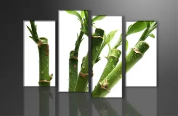 Nieuw canvas schilderij 4-luik Groene Bamboe 130 x 80 cm