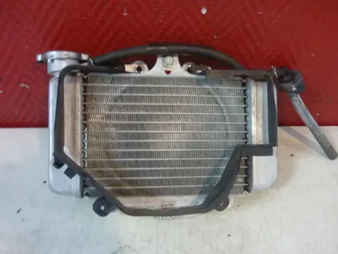 Radiator Honda Dylan 2006 - 2010