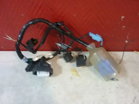 Wire harness front Honda CBR Fireblade 2002 - 2003