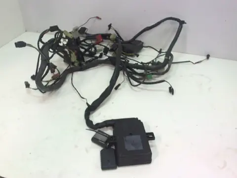 Wire Harness Kawasaki ZZR 1200 2002 - 2005