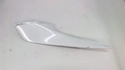 Cowl left rear Overig Onbekend Unknown 2008 - 2011