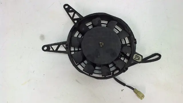 Fan Triumph Tiger 1999 - 2001