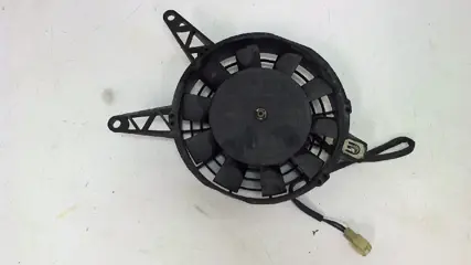 Fan Triumph Tiger 1999 - 2001