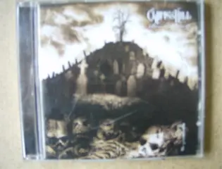 Cypress hill adv. 25