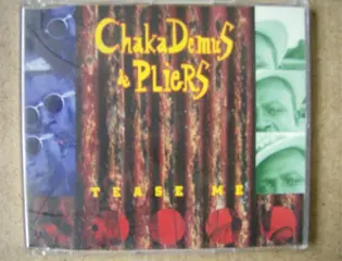 Chaka demus and pliers cd single adv. 119