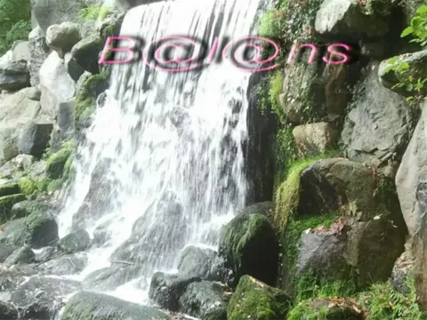 Salon-balans