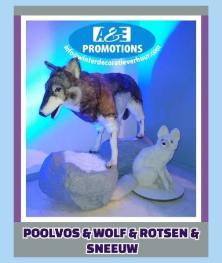 Poolvos verhuur pooldieren etc. t. 0599 41 62 00