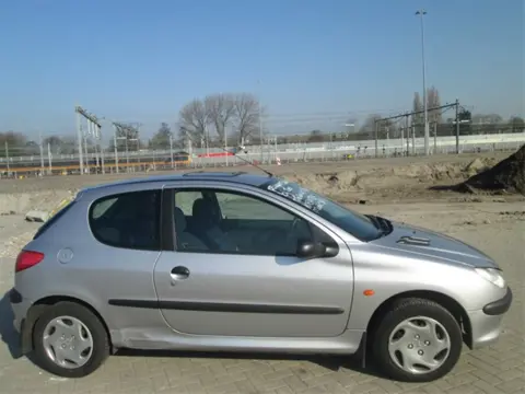 Peugeot 206 1.4 2001 Kleurcode EYC Plaatwerk op voorraad