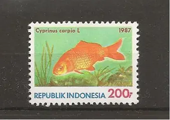 Vis cyprinus carpio, uit Indonesie