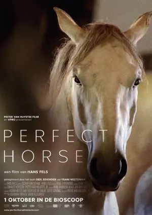 PERFECT HORSE filmposter.