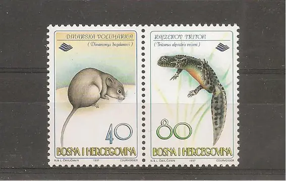 FAUNA - Dinara voles and Rajzerov triton, uit Bosnië en Herz