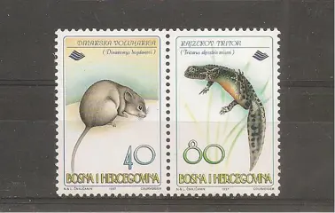 FAUNA - Dinara voles and Rajzerov triton, uit Bosnië en Herz