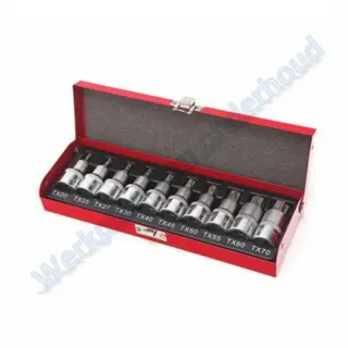 Profi Torx doppenset 10 delig 1/2