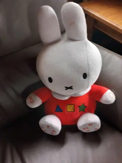 NIJNTJE - knuffel 30 - 35 cm, met muziek