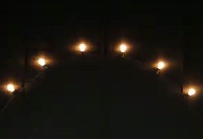 Prikkabel van 10 meter met 9 fittingen en calex LED lampen