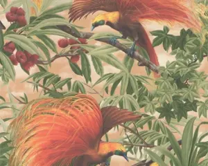 Paradijsvogel behang 6954-20